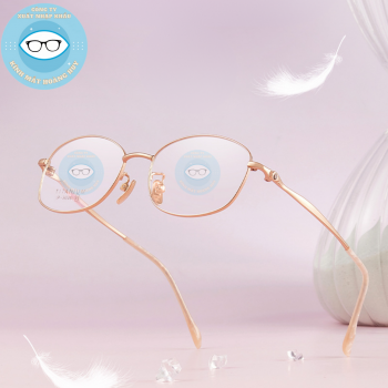 Gọng kính kim loại mã 9006